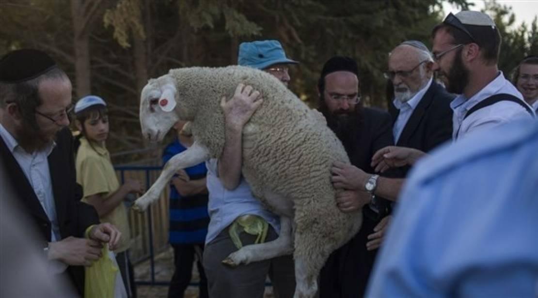 محافظة القدس تحذر من تصعيد خطير واستغلال الإغلاق لفرض طقوس تهويدية