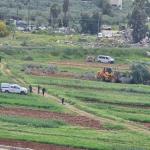 جرافات الاحتلال تقتلع عشرات الأشجار المثمرة في اللبن الشرقية لليوم الثاني