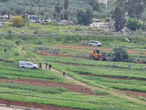 تجريف واسع للأراضي الزراعية واقتلاع مئات أشجار الزيتون واللوز جنوب نابلس