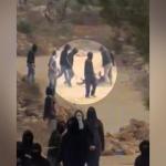 مصورة «واشنطن بوست» بعد الاعتداء عليها قرب رام الله: اعتقدت أنني لن أخرج حية
