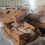 ضبط 44 طنًا من المجمّدات الفاسدة في خانيونس