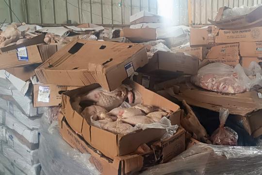 ضبط 44 طنًا من المجمّدات الفاسدة في خانيونس