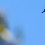 تركيا تعزز رصد الأجواء السورية وقد تحد من حرية الطيران الإسرائيلي