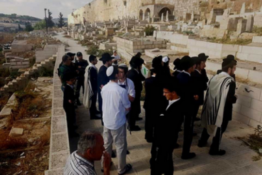 محافظة القدس: مستوطنون اقتحموا مقبرة باب الرحمة المحاذية للمسجد الأقصى