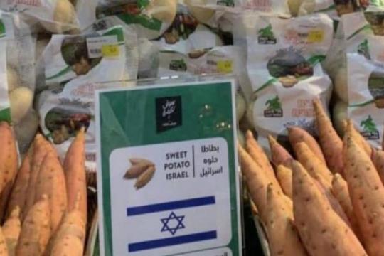 هولندا تتجه لتجريم تجارة المستوطنات الإسرائيلية رغم التعقيدات الأوروبية