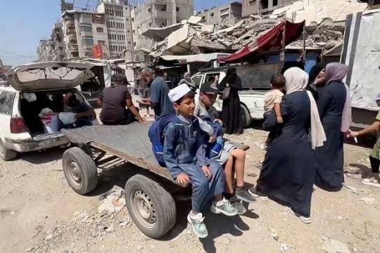 النقل والمواصلات تعلن استئناف إصدار الرخص الاستكمالية لعدد من المركبات في غزة
