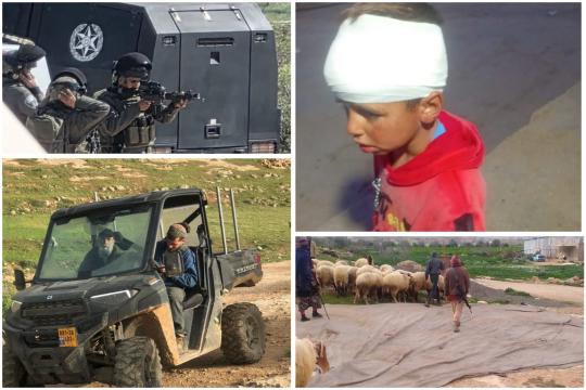 إصابة طفل وشاب بهجوم للمستوطنين في مسافر يطا واعتقالات واعتداءات جنوب الخليل