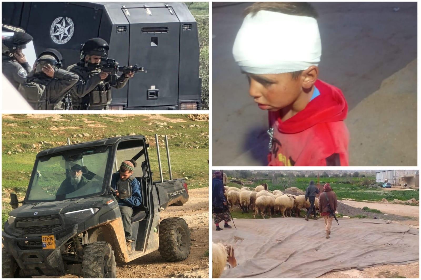 مستوطنون يهاجمون قرية الطوبا ويسرقون ماشية ويصيبون طفلاً وسط حماية قوات الاحتلال