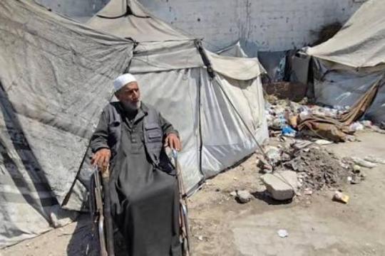 التنمية الاجتماعية: 118 ألف مسن في غزة يواجهون ظروفًا قاسية