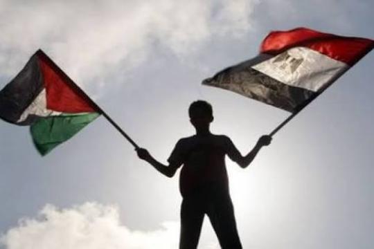 الرئاسة الفلسطينية تؤكد تضامنها مع مصر عقب هجوم ميناء دمياط
