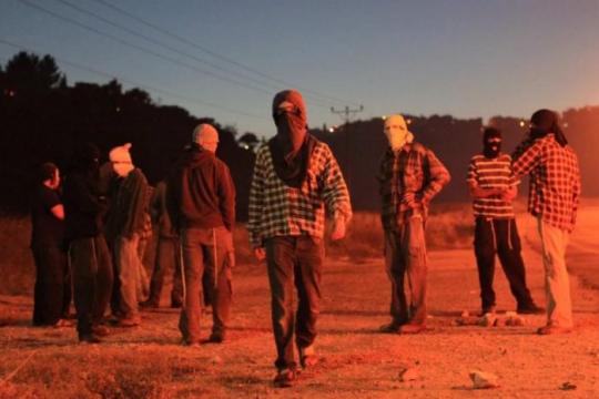 مستوطنون يهاجمون قرية بيت إكسا شمال غرب القدس ويصيبون مواطناً باختناق