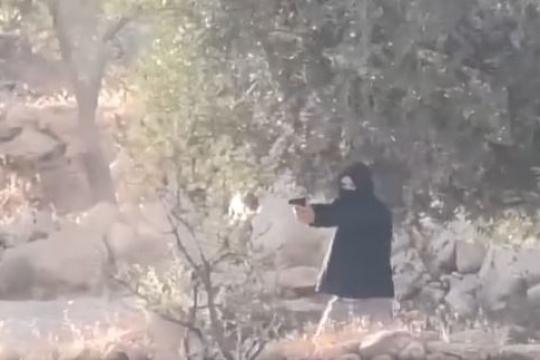 تصعيد الاحتلال واعتداءات المستوطنين في رام الله وطوباس وطولكرم