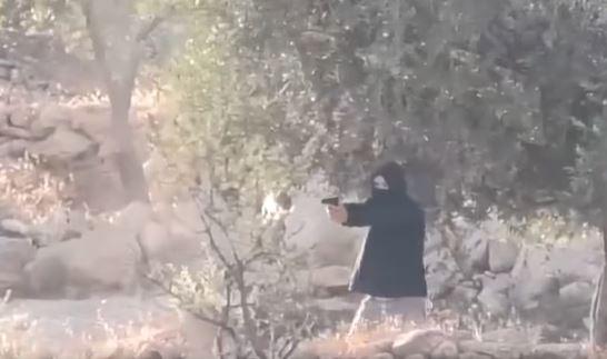 شق طرق استيطانية والاعتداء على المواطنين والمركبات واقتحامات واحتجازات في الضفة الغربية