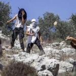 مستوطنون يقتحمون أراضي المواطنين في بيت إمرين بنابلس