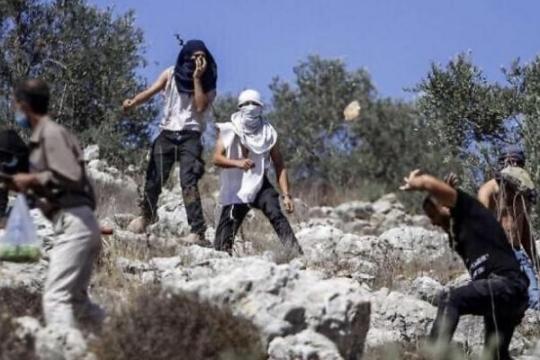 مستوطنون يقتحمون أراضي المواطنين في بيت إمرين بنابلس