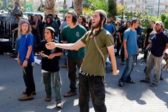 مستوطنون ينفذون جولات استفزازية في منطقة "خلايل اللوز"