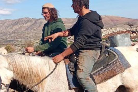 مستوطنون يعيقون عمل لجنة الانتخابات شرق طوباس