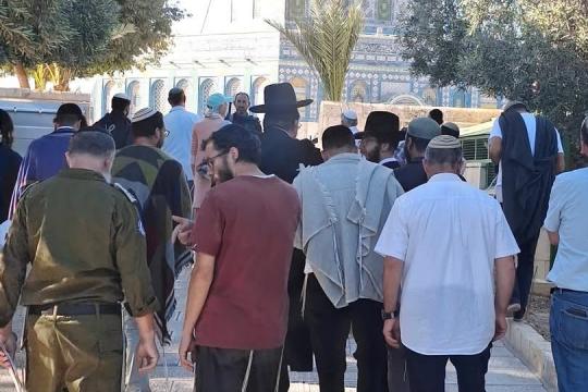 نظموا جولات استفزازية.. مستوطنون يقتحمون باحات الأقصى