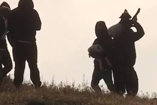 بتسيلم: سرقة المواشي أداة جديدة للمستوطنين للسيطرة على أراضي الضفة