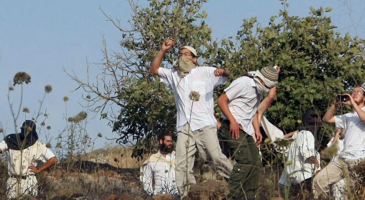 628 اعتداءً للمستوطنين خلال آب