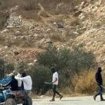 مستوطنون يهاجمون قاطفي الزيتون شرق رام الله