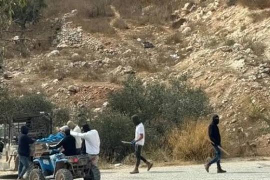 مستوطنون يهاجمون قاطفي الزيتون شرق رام الله