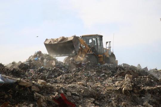 تفشي القوارض والحشرات في غزة وسط تحذيرات من أزمة صحية وبيئية خطيرة