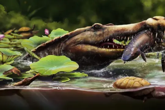 فريق مصري يكتشف نوعاً جديداً من التماسيح عاش قبل 80 مليون عام