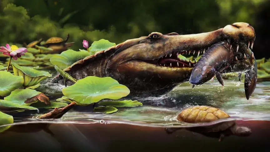 العلماء المصريون يعلنون عن “واديسوكس كسابي” أقدم أسلاف التماسيح البحرية قبل 80 مليون عام