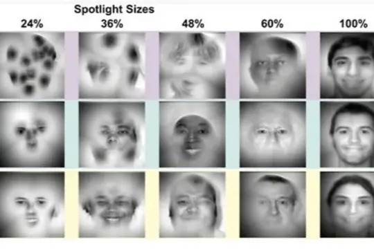 لماذا يتمتع بعض الأشخاص بذاكرة بصرية استثنائية لتذكر الوجوه؟