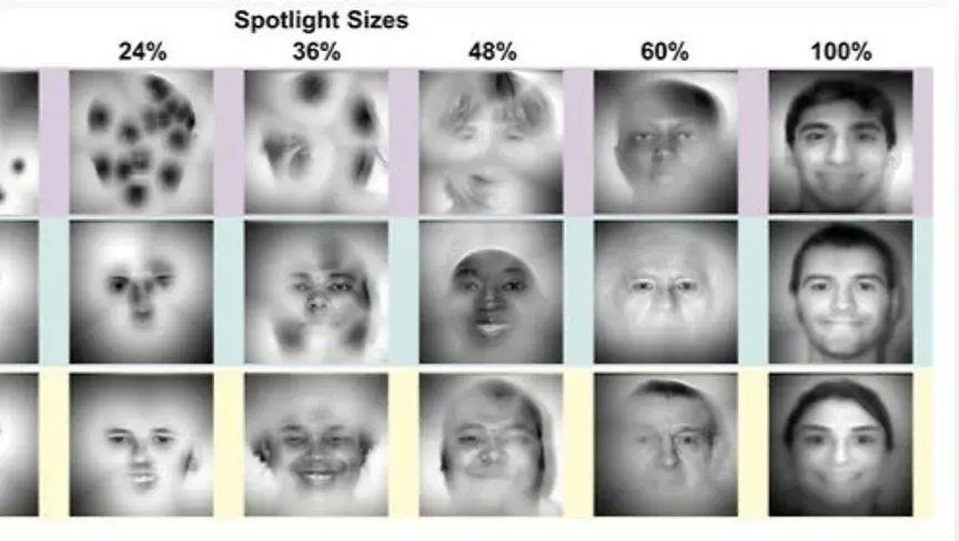 الدراسة تكشف أن السر ليس في كمية المعلومات، بل في جودة التركيز على الملامح الأكثر دلالة