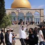 متطرفون يهود يواصلون حملات التحريض على المسجد الأقصى
