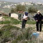 أوتشا: تضاعف عدد المصابين الفلسطينيين جراء هجمات المستوطنين في الضفة عام 2025