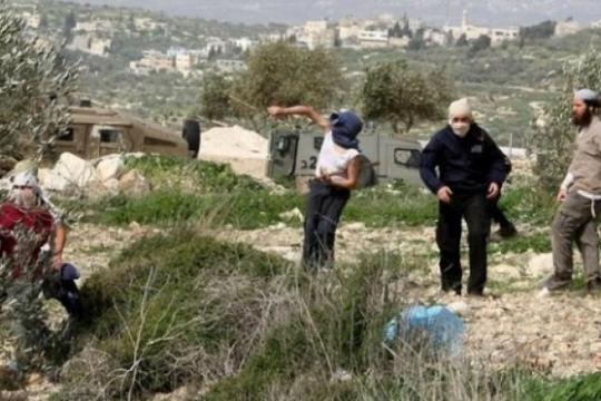 أوتشا: تضاعف عدد المصابين الفلسطينيين جراء هجمات المستوطنين في الضفة عام 2025