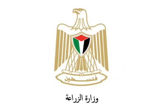 وزارة الزراعة تنفي مزاعم إسرائيلية بشأن تلوث الخضروات الفلسطينية