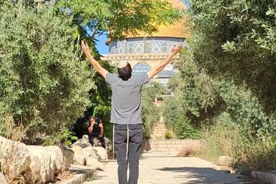 مستوطنون يقتحمون باحات المسجد الأقصى بحماية قوات الاحتلال