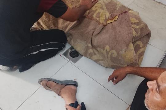 الاحتلال والمستوطنين يواصلون عدوانهم في الضفة وغزة.. 3 شهداء في جنين و5 في القطاع