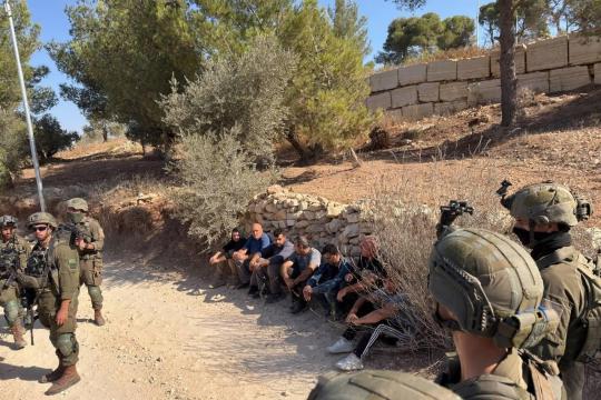 مستوطنون يهاجمون قاطفي الزيتون في بيتا وقوات الاحتلال تحتجز عددًا من المتضامنين