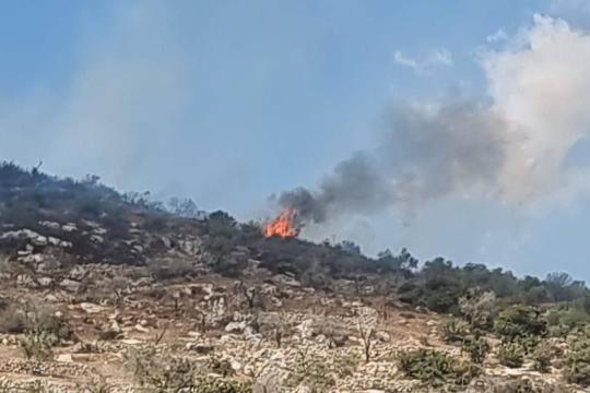 تصعيد إسرائيلي في غزة والضفة واعتداءات متواصلة على الفلسطينيين وممتلكاتهم