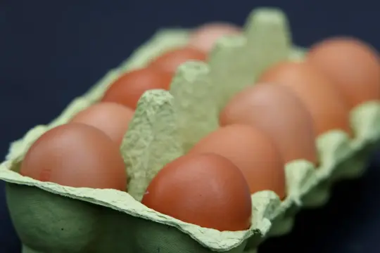 5 أطعمة تساعد على بناء العضلات وزيادة حجمها