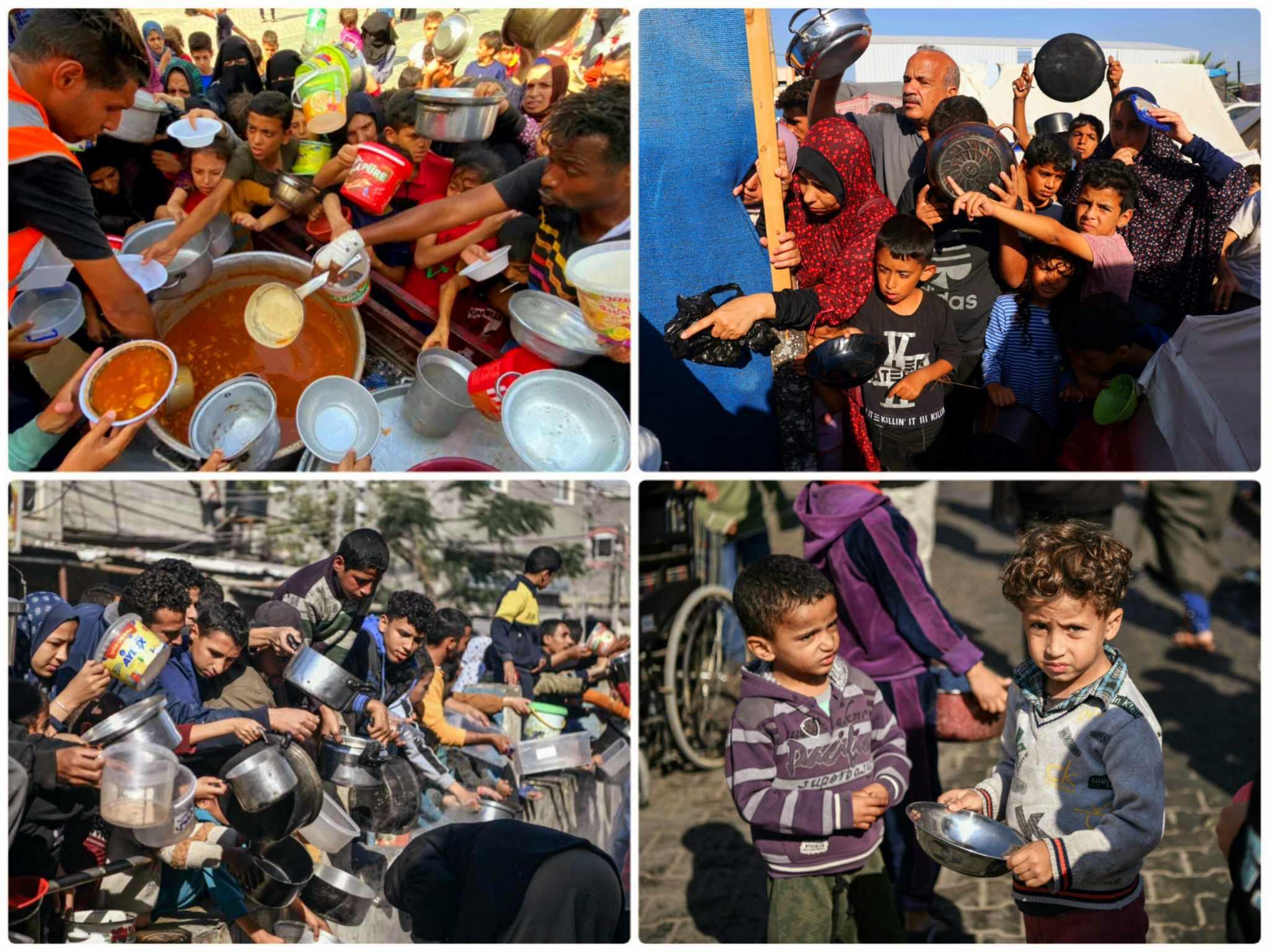 مؤسسات فلسطينية ودولية تطلق مبادرة لإرسال قافلة دبلوماسية إنسانية إلى غزة