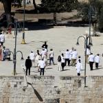 محافظة القدس: اقتحام ألف مستوطن للأقصى تصعيد خطير يهدف لتكريس السيطرة الإسرائيلية