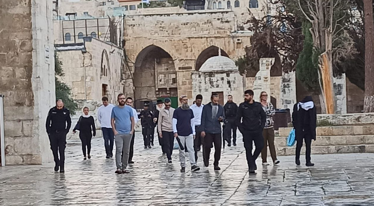 أدوا طقوسًا تلمودية.. عشرات المستوطنين يقتحمون باحات الأقصى