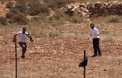 مستوطنون يهاجمون مسافر يطا ويعتدون على أراضي بيتا جنوب نابلس