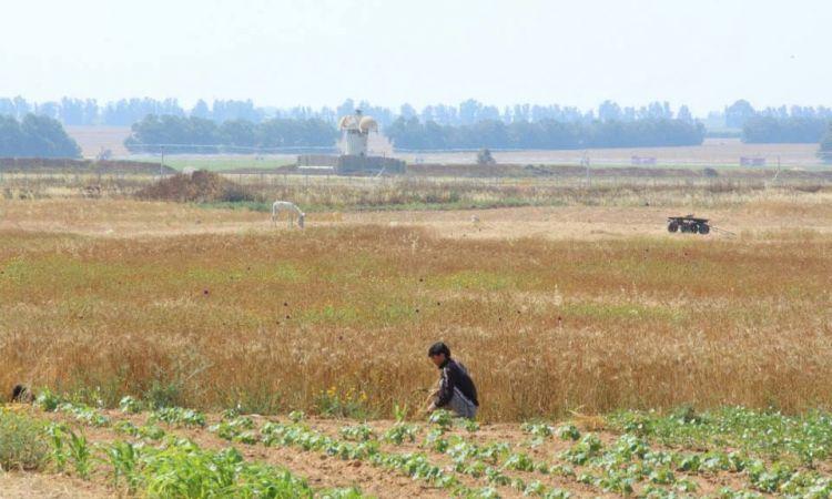 غزة: بعد استهدافه  الصيادين الاحتلال يطلق نيرانه تجاه المزارعين شرقا