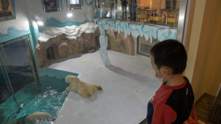 "فندق الدب القطبي" يقدم لزبائنه ما كان مستحيلاً وسط تصاعد الانتقادات