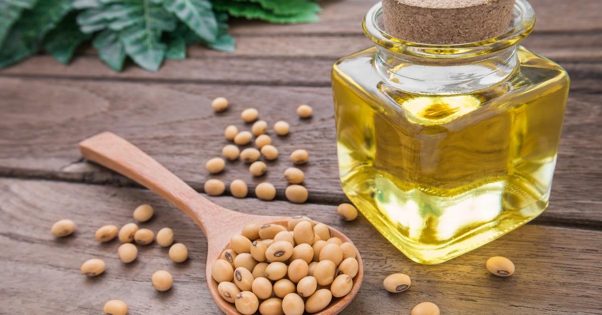 زيت فول الصويا.. دراسة تحذّر من مضار كثرة استهلاكه على صحة الإنسان