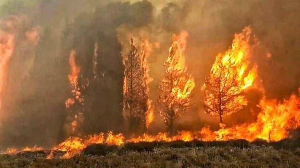 لبنان تشهد كارثة جديدة.. حرائق في جنوب وشمال البلاد وخسائر مادية كبيرة