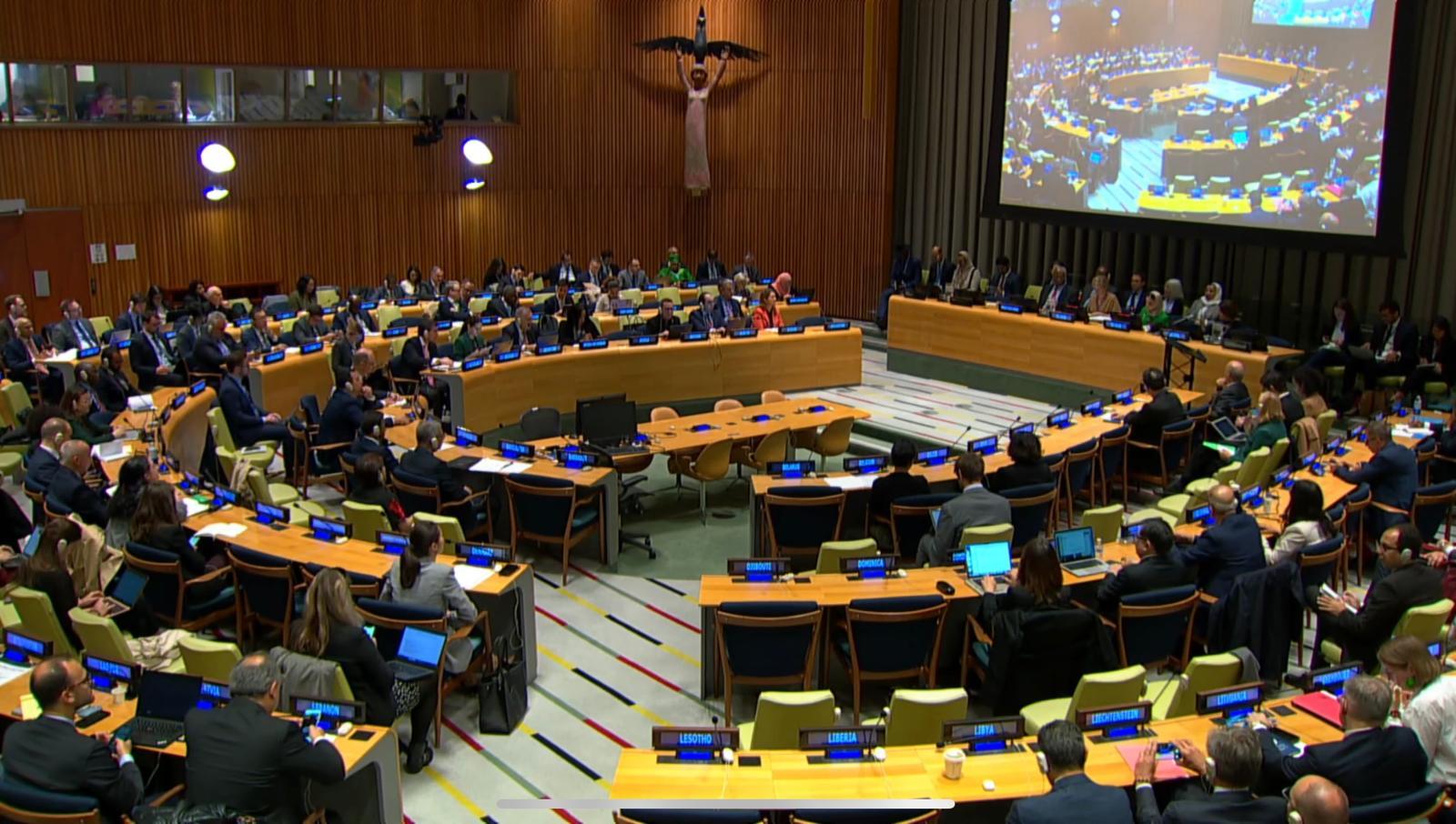 الأمم المتحدة: مؤتمر حل الدولتين فرصة حاسمة لرسم مسار لا رجعة فيه نحو السلام