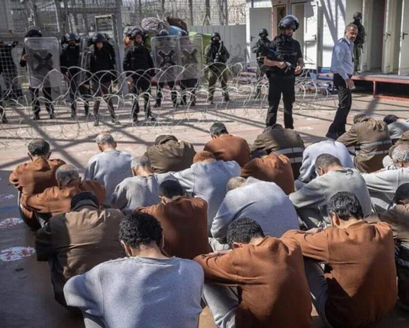 معتقلو غزة يواجهون الجحيم في سجون الاحتلال ومعسكراته